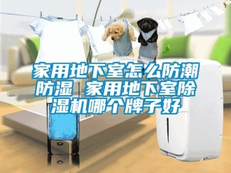 常见问题家用地下室怎么防潮防湿 家用地下室除湿机哪个牌子好