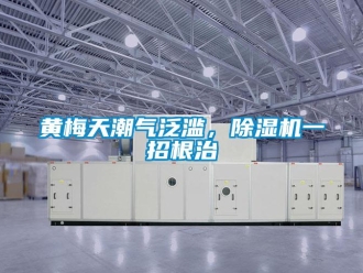 行业新闻黄梅天潮气泛滥，除湿机一招根治