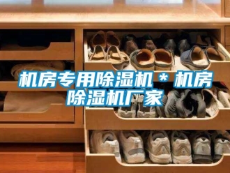 企业新闻机房专用除湿机＊机房除湿机厂家