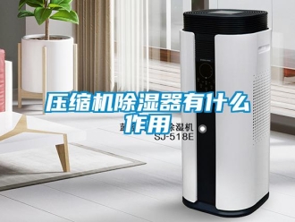 行业新闻压缩机除湿器有什么作用