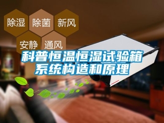 知识百科科普恒温恒湿试验箱系统构造和原理