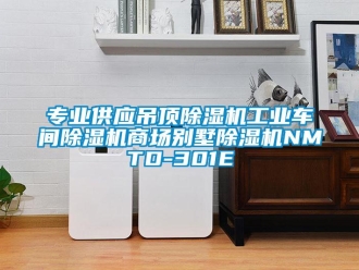 常见问题专业供应吊顶除湿机工业车间除湿机商场别墅除湿机NMTD-301E