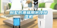 别墅防潮就用吊顶除湿机