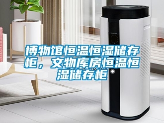 常见问题博物馆恒温恒湿储存柜，文物库房恒温恒湿储存柜