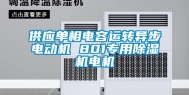 供应单相电容运转异步电动机 801专用除湿机电机
