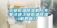 工业低温除湿机，专家详述工业低温除湿机的简介