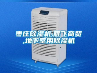 行业新闻枣庄除湿机,雁飞商贸,地下室用除湿机