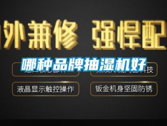 企业新闻哪种品牌抽湿机好