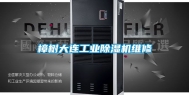 樟树大连工业除湿机维修