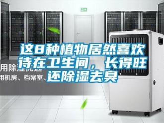 知识百科这8种植物居然喜欢待在卫生间，长得旺还除湿去臭