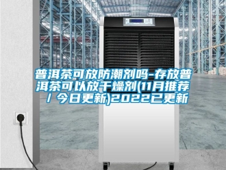 常见问题普洱茶可放防潮剂吗-存放普洱茶可以放干燥剂(11月推荐／今日更新)2022已更新