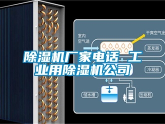 企业新闻除湿机厂家电话 工业用除湿机公司
