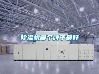 行业新闻除湿机哪个牌子最好