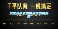 武汉步入式高低温交变试验箱