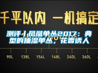 企业新闻测评丨凤凰单丛2017：典型的抽湿单丛，花香诱人