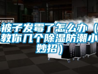 企业新闻被子发霉了怎么办（教你几个除湿防潮小妙招）