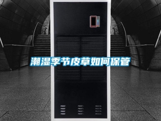 常见问题潮湿季节皮草如何保管