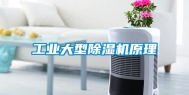 工业大型除湿机原理