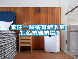 企业新闻家住一楼或有地下室，怎么防潮防霉？