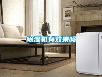 行业新闻除湿机有效果吗