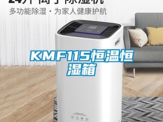 常见问题KMF115恒温恒湿箱