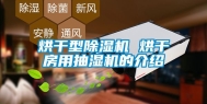 烘干型除湿机 烘干房用抽湿机的介绍