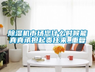 行业新闻除湿机市场您什么时候能真真承担起责任来_重复
