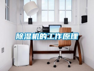 企业新闻除湿机的工作原理