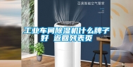 工业车间除湿机什么牌子好 返回列表页