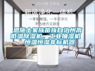 常见问题恩施土家族苗族自治州高低温除湿机，工业抽湿机  恒温恒湿非标机器