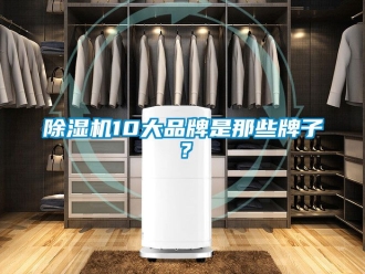 企业新闻除湿机10大品牌是那些牌子？