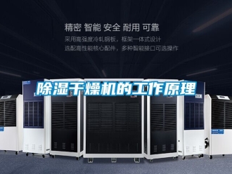企业新闻除湿干燥机的工作原理