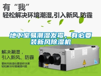 常见问题地下室易潮湿发霉，有必要装新风除湿机