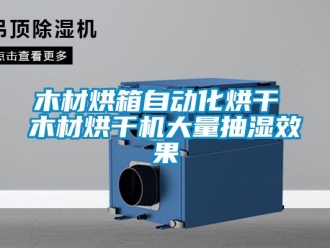 企业新闻木材烘箱自动化烘干 木材烘干机大量抽湿效果