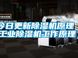 常见问题今日更新除湿机原理（工业除湿机工作原理）
