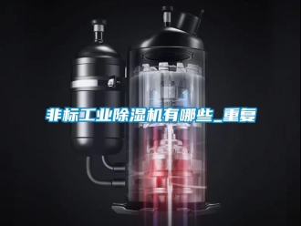 常见问题非标工业除湿机有哪些_重复