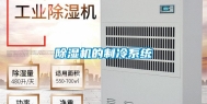 除湿机的制冷系统