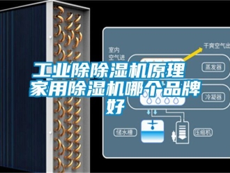 常见问题工业除除湿机原理 家用除湿机哪个品牌好