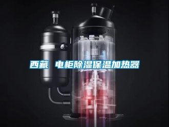 行业新闻西藏 电柜除湿保温加热器