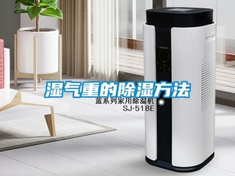 企业新闻湿气重的除湿方法