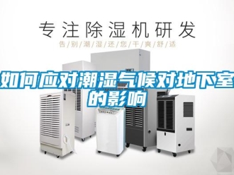 常见问题如何应对潮湿气候对地下室的影响