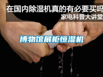 知识百科博物馆展柜恒湿机