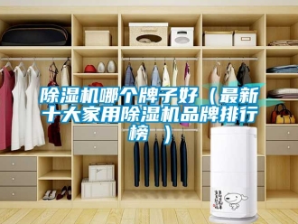 企业新闻除湿机哪个牌子好（最新十大家用除湿机品牌排行榜 ）