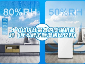 企业新闻十个性价比最高的除湿机品牌（什么牌子除湿机比较好）