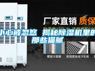 知识百科小心被忽悠 揭秘除湿机里的那些猫腻