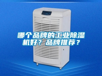 常见问题哪个品牌的工业除湿机好？品牌推荐？