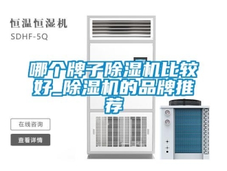 企业新闻哪个牌子除湿机比较好_除湿机的品牌推荐