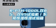 R-PTH-1000L双85、双95试验机／东莞恒湿恒湿试验箱