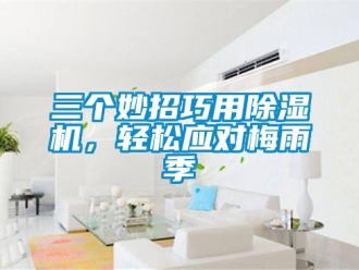 行业新闻三个妙招巧用除湿机，轻松应对梅雨季