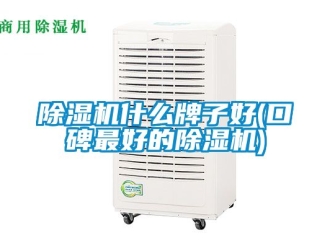 行业新闻除湿机什么牌子好(口碑最好的除湿机)